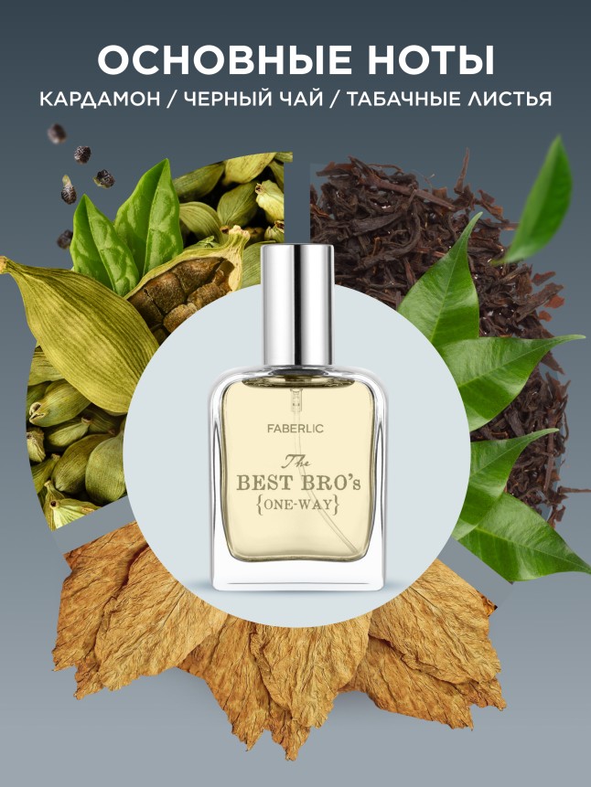 Заказать Парфюмерная вода для мужчин The Best Bro’s One-Way