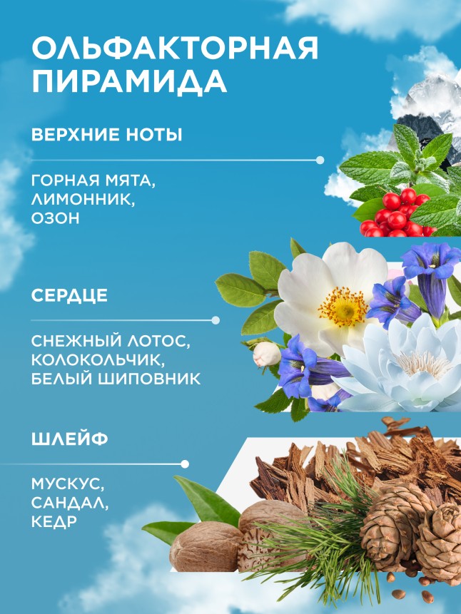 В Беларуси Парфюмерная вода для женщин Alatau Wings