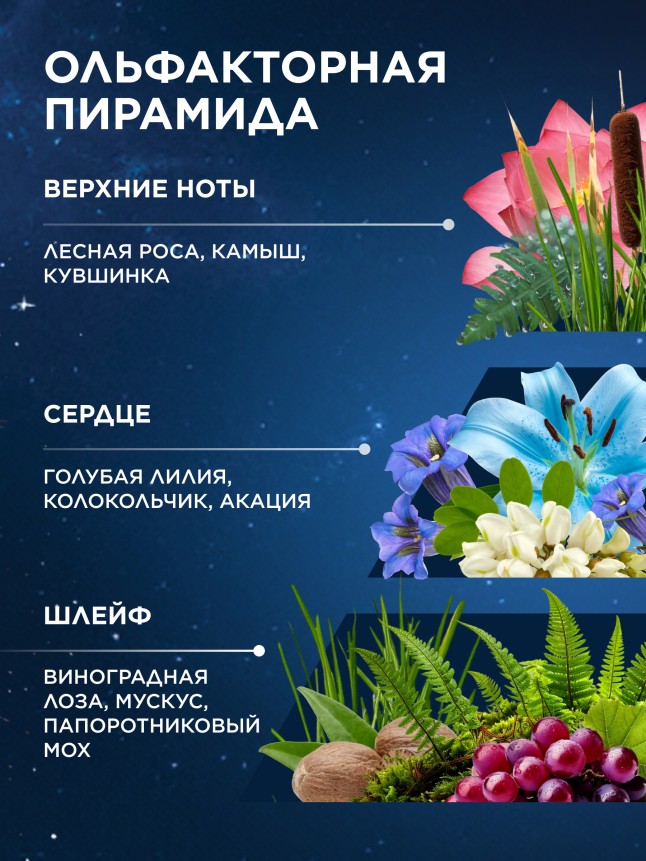 Фото Туалетная вода для женщин Zodiac Aqua