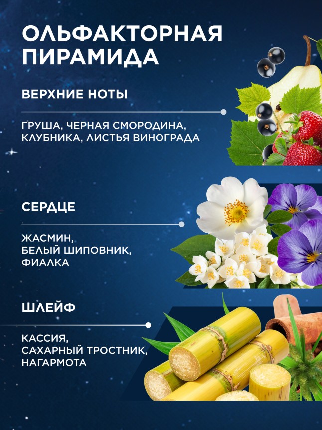 Фото Туалетная вода для женщин Zodiac Terra