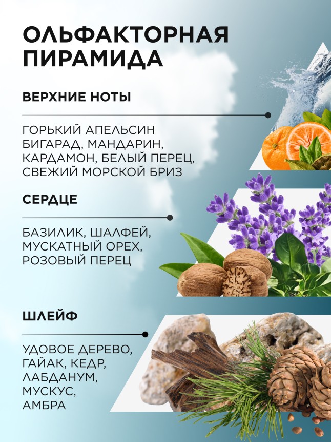 В Беларуси Туалетная вода для мужчин Vent d' Aventures