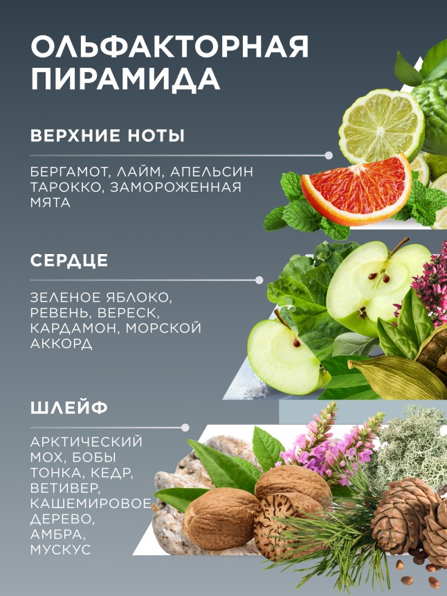 В Беларуси Парфюмерная вода для мужчин Viking