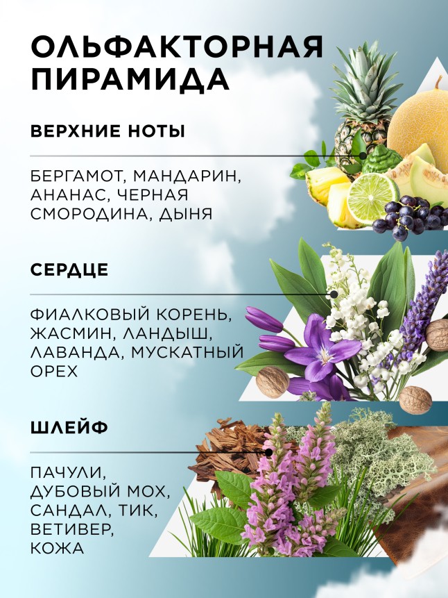 В Беларуси Туалетная вода для мужчин 8 Element