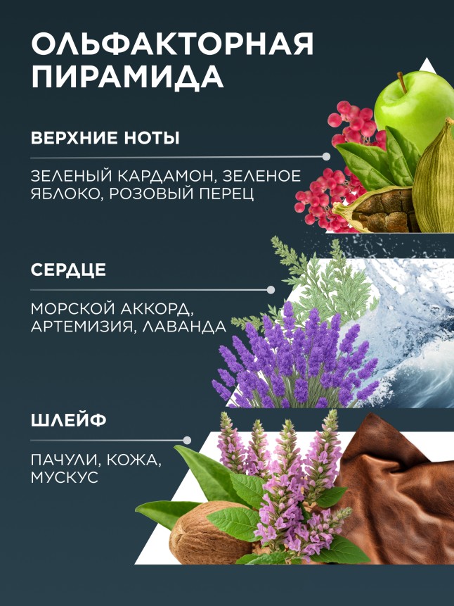 В Беларуси Туалетная вода для мужчин Lancelot