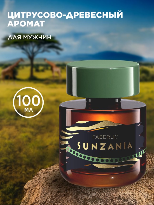Купить Туалетная вода для мужчин Sunzania