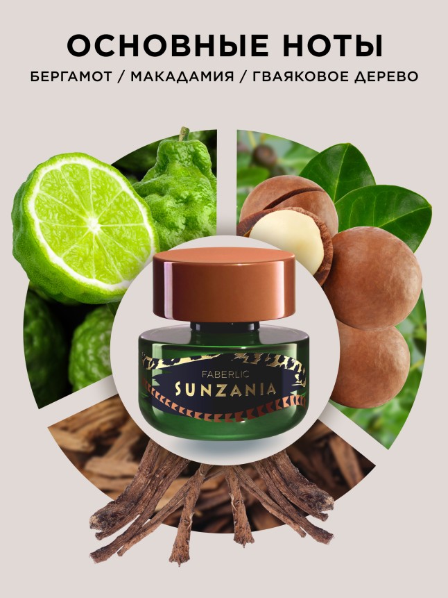 Заказать Туалетная вода для мужчин Sunzania