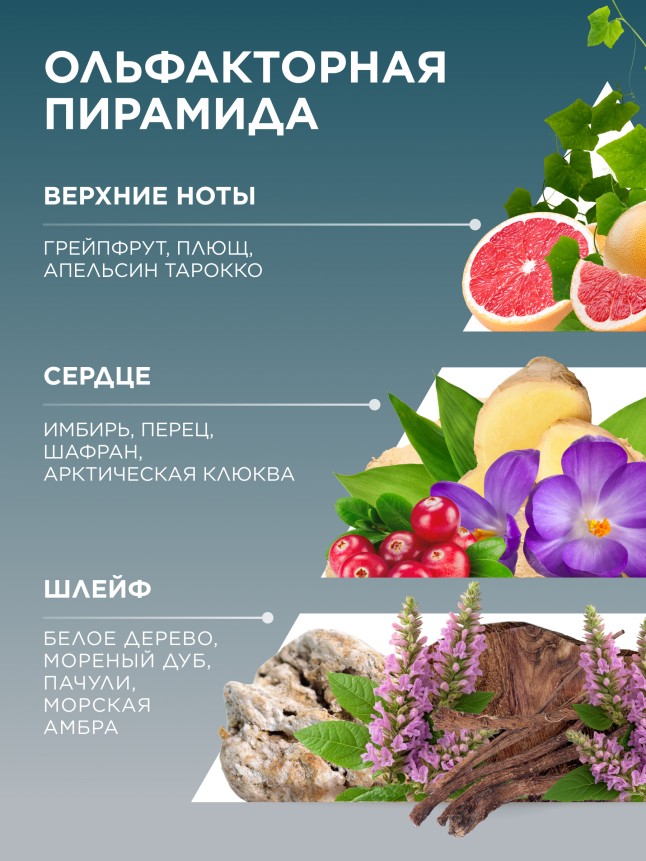 В Беларуси Парфюмерная вода для мужчин Viking Saga