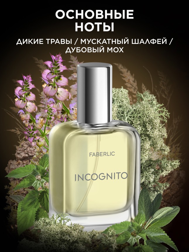 Заказать Туалетная вода для мужчин Incognito