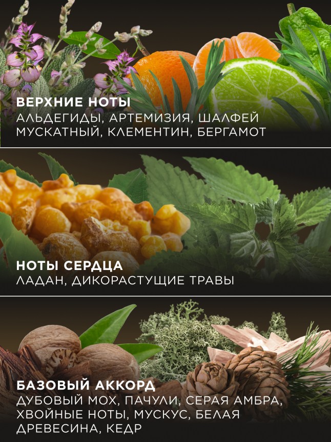 В Беларуси Туалетная вода для мужчин Incognito