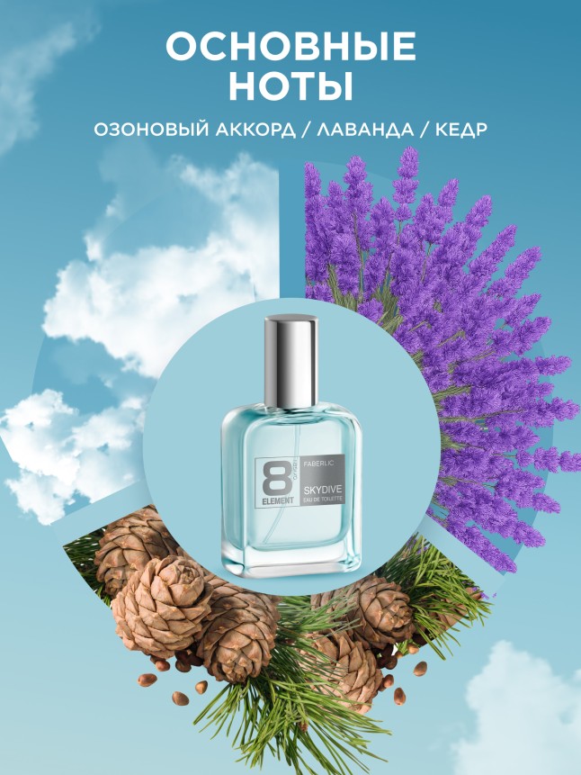 Заказать Туалетная вода для мужчин 8 Element Skydive