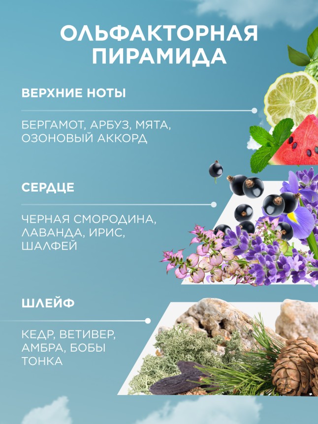 В Беларуси Туалетная вода для мужчин 8 Element Skydive