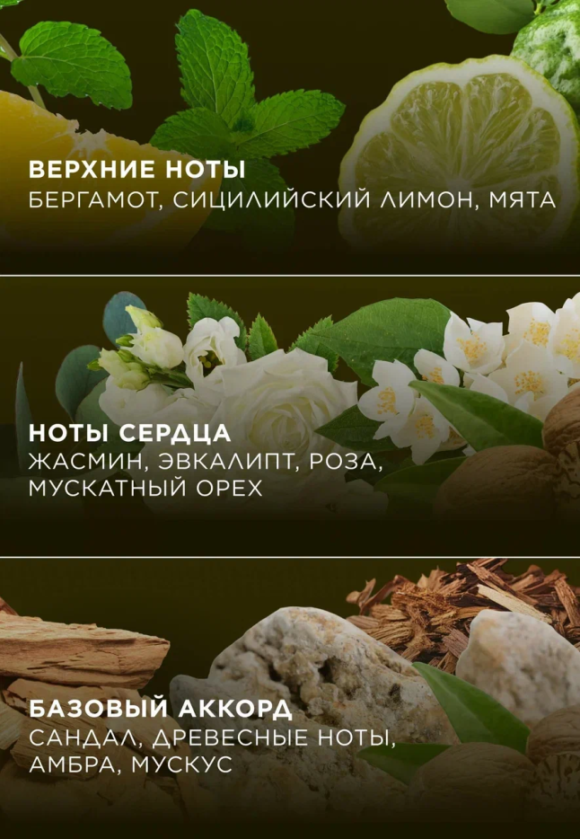 Заказать Парфюмированное жидкое мыло Woody Bergamot