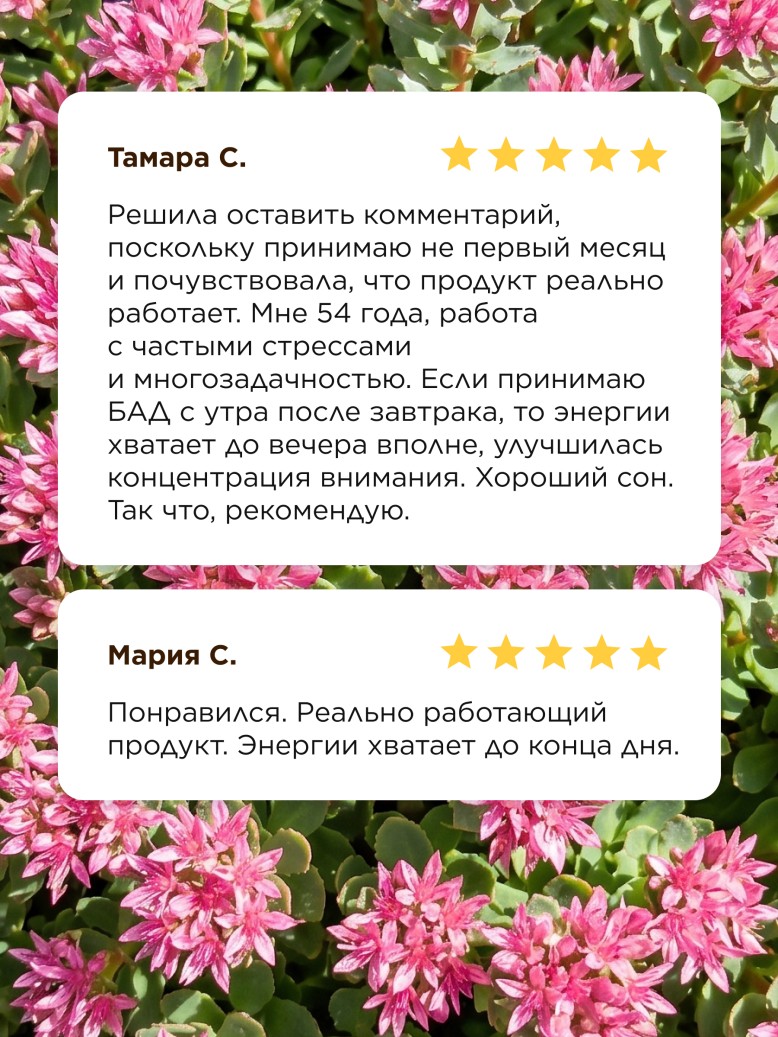 БАД к пище «Родиола розовая»