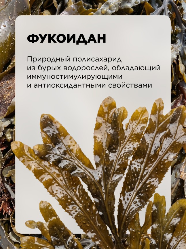 Фото БАД к пище «Фукоидан Актив»