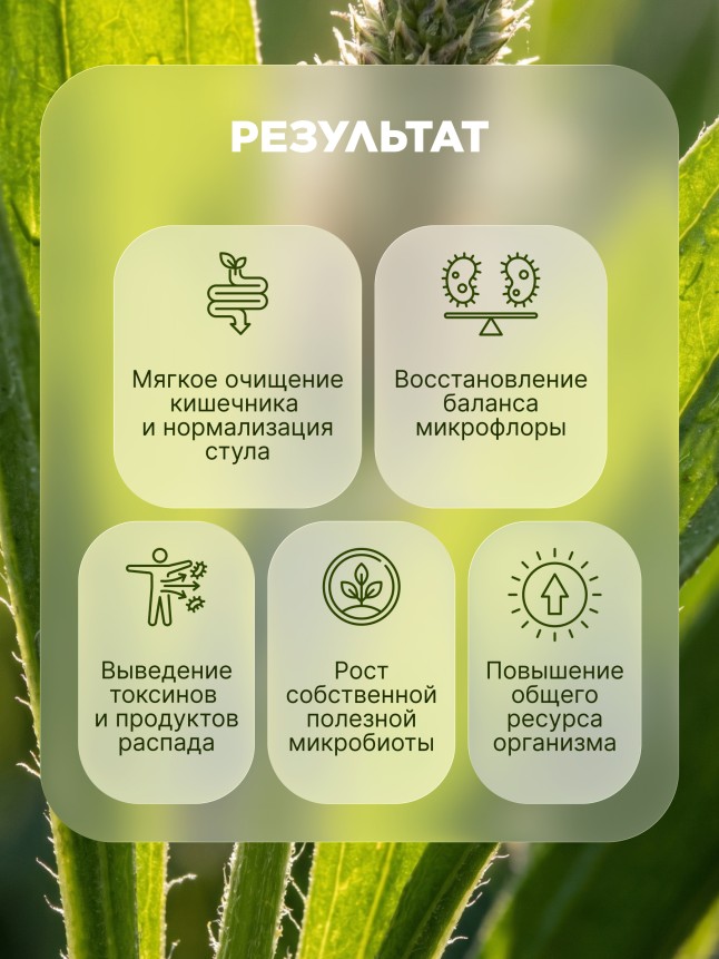 Отзывы Пищевой концентрат «Питание для микробиоты»