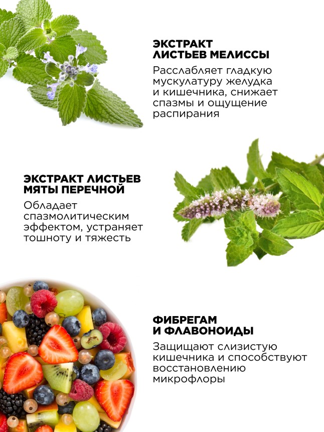 Состав БАД к пище «Метеоликс Комплекс» Molecular Force