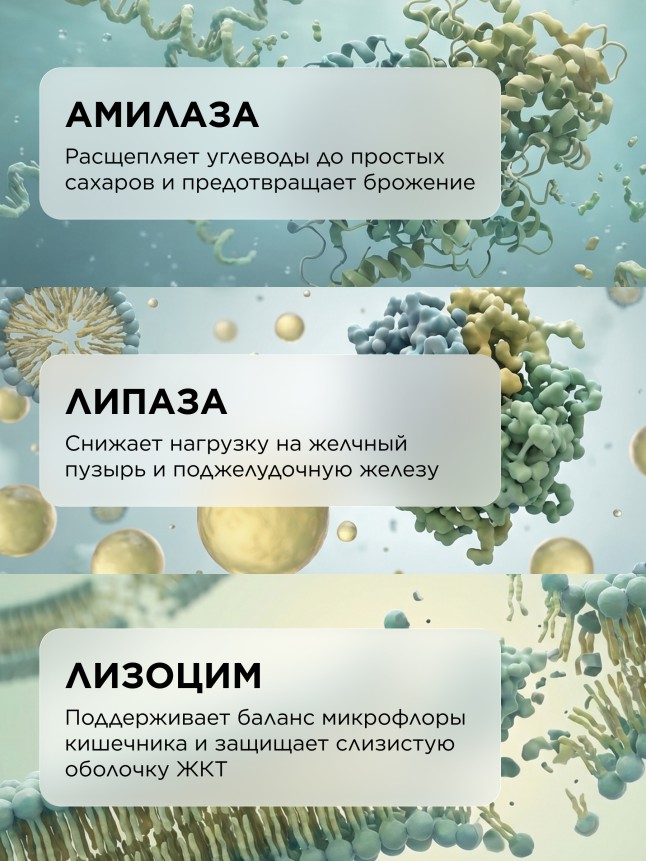 Отзывы БАД к пище «Ферментный комплекс» Molecular Force