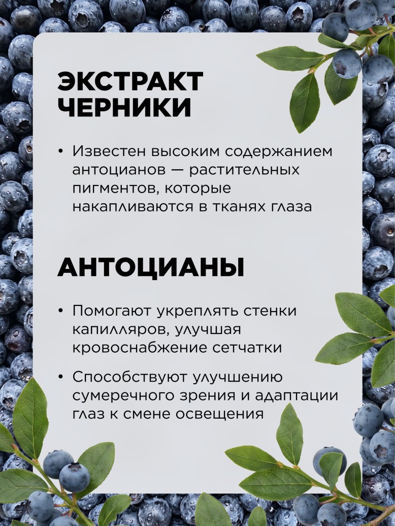 Фото БАД к пище «Черника Актив»