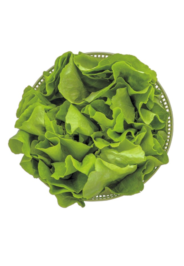 Состав Мультифункциональный измельчитель 3 в 1