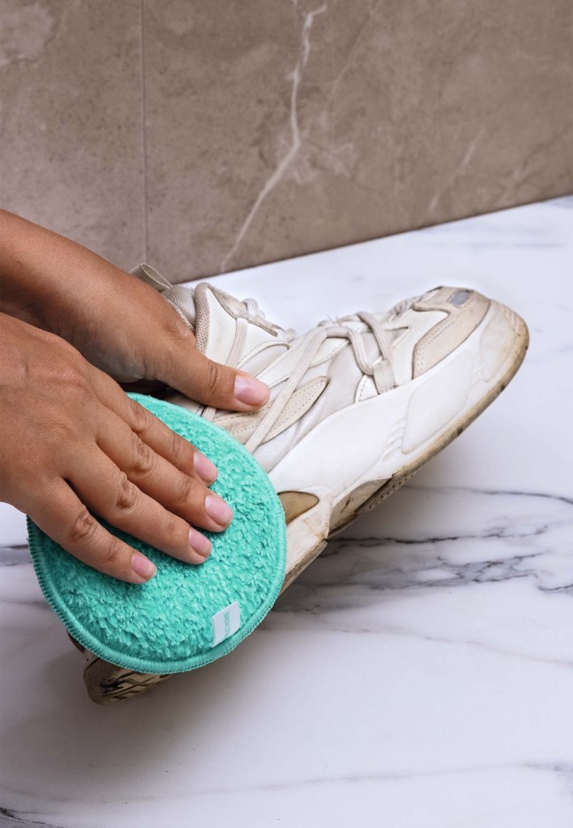 Купить Профи-диск «Сила чистоты»