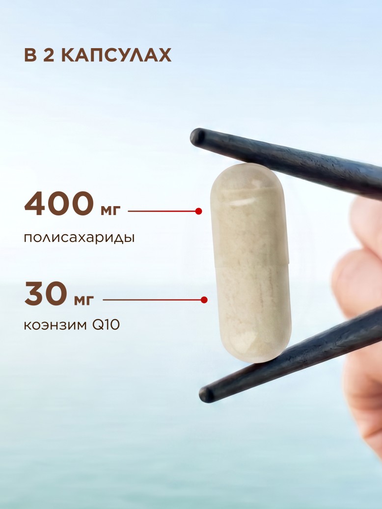 Состав БАД к пище «Кордицепс + Q10» SUYAMI JAPANESE FORMULA