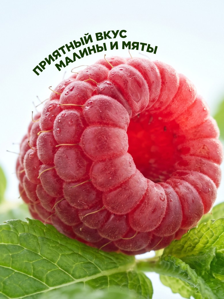 Состав БАД к пище «Хлорофилл» со вкусом малины и мяты