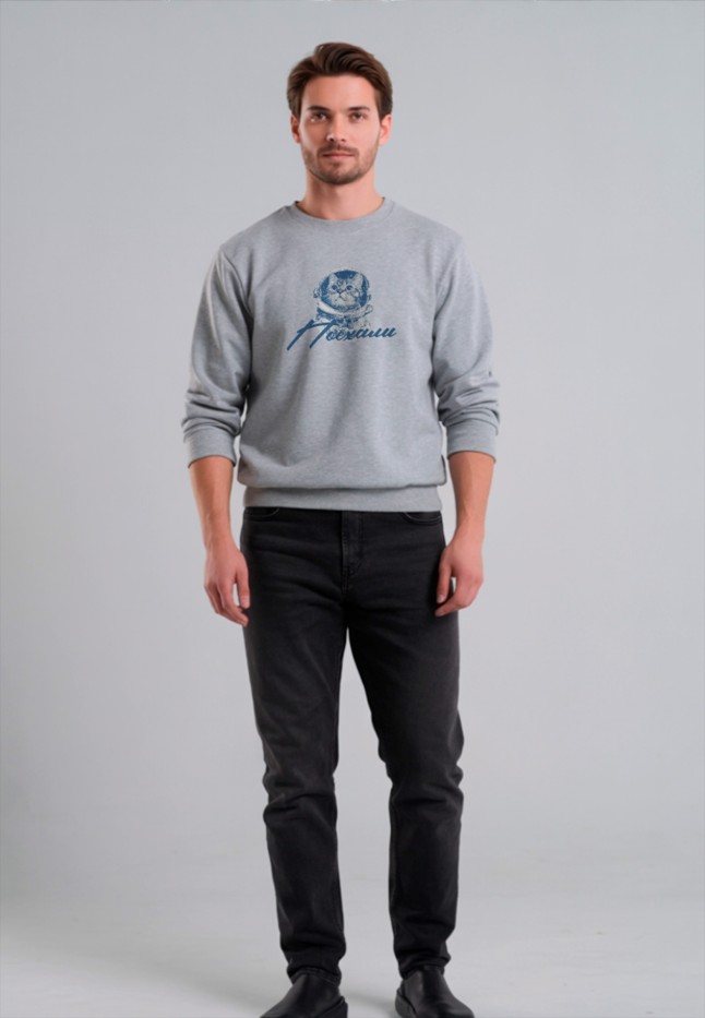 Купить Мужской свитшот с принтом «Поехали», цвет светло-серый меланж