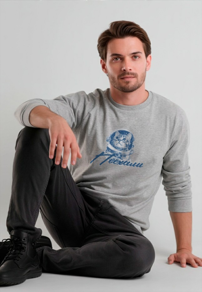 Заказать Мужской свитшот с принтом «Поехали», цвет светло-серый меланж